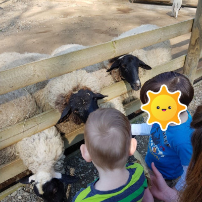 Ausflug in den Tierpark
