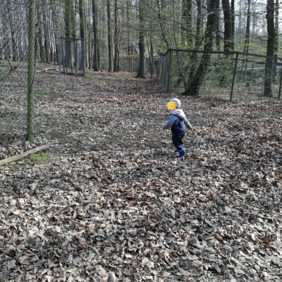 Ausflug in den Wald