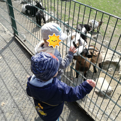 Ausflug in den Tierpark